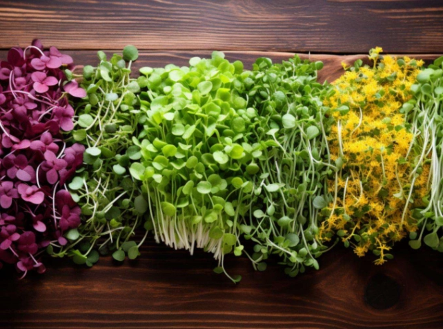 microgreens benefits