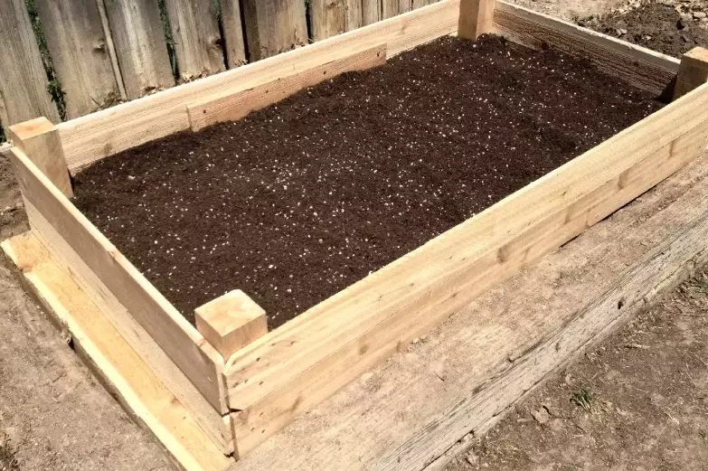 raised bed potting mix raised bed potting mix