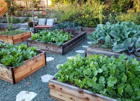 how to build a raised bed