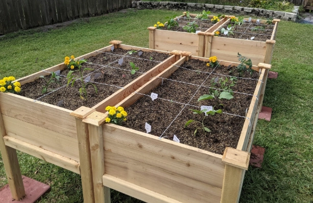 how to build a raised bed