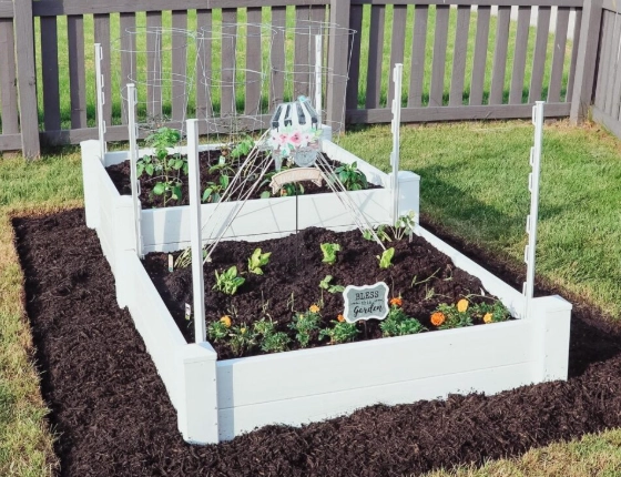 raised bed vegetable garden raised bed vegetable garden