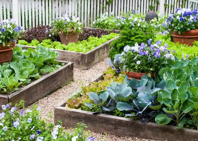 building raised garden beds building raised garden beds