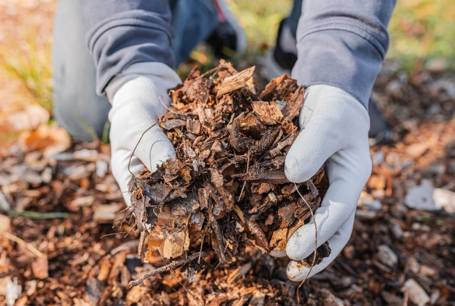 best mulch for garden