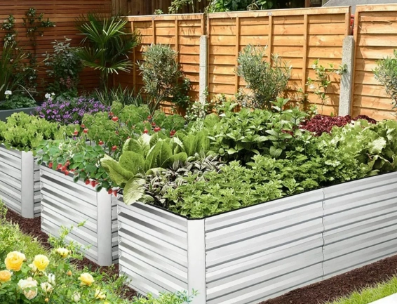 raised garden bed vegetables