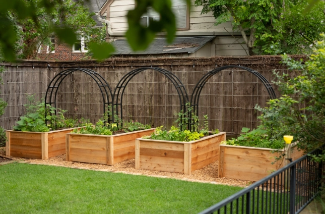 raised bed gardening
