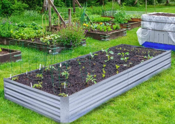 raised garden bed vegetables