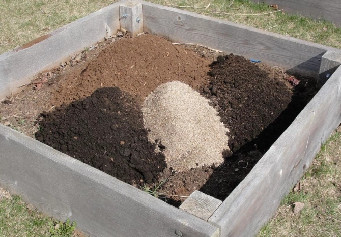 raised bed garden soil