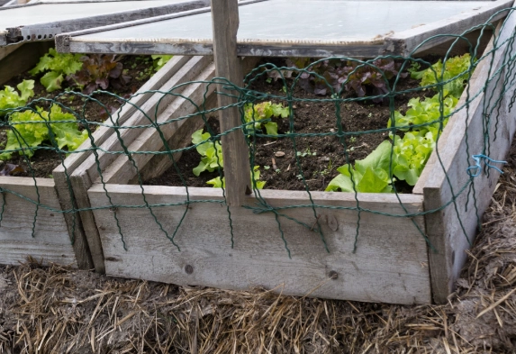 diy cold frame building diy cold frame building
