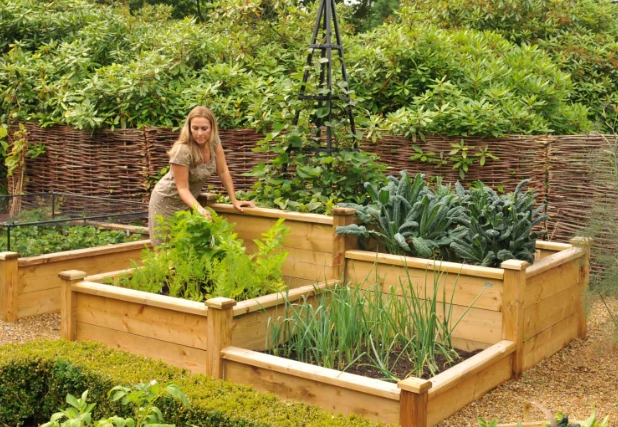 best soil for raised beds