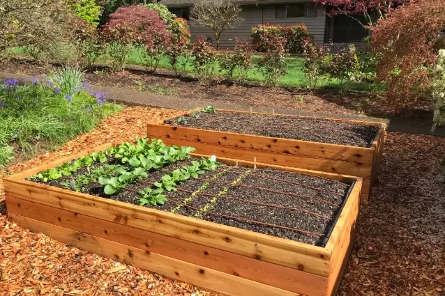 raised bed vegetable garden raised bed vegetable garden