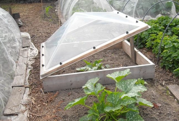 how to extend growing season how to extend growing season