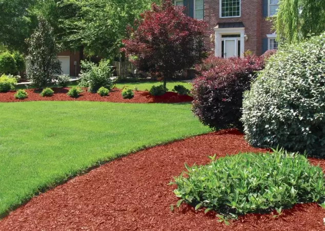how to apply mulch