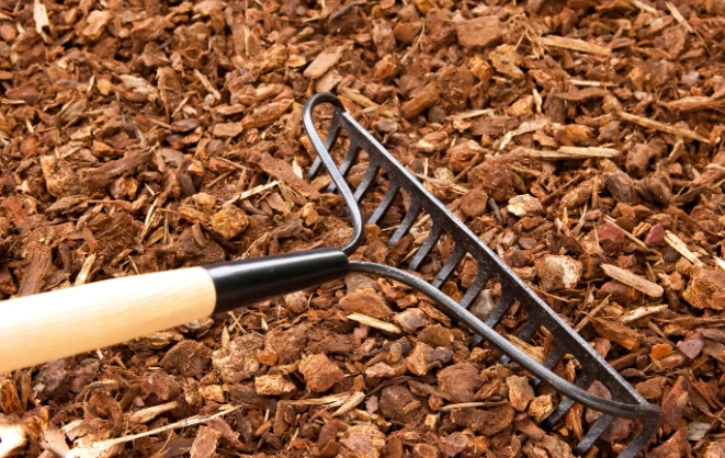 mulching benefits