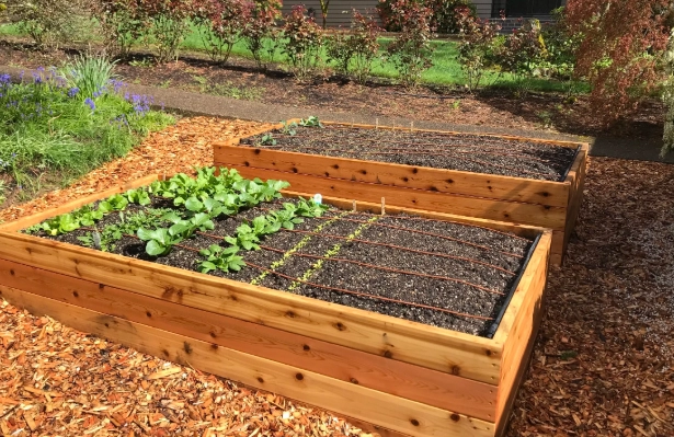 how to build raised garden beds