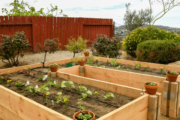 how to build raised garden beds