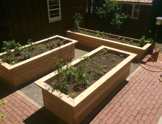 raised bed gardening