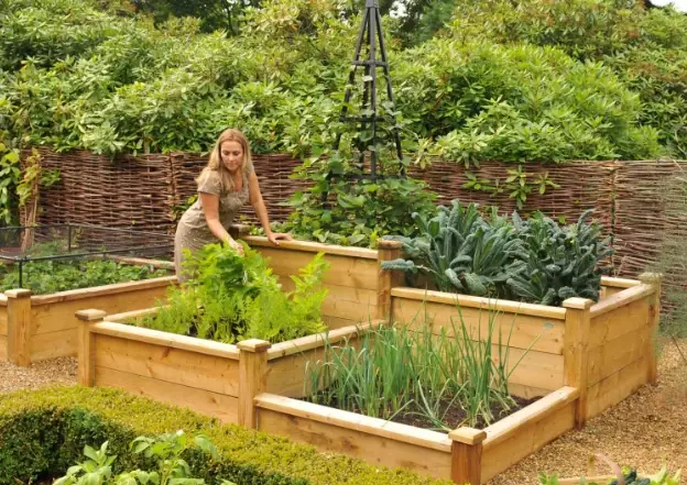 building raised garden beds building raised garden beds