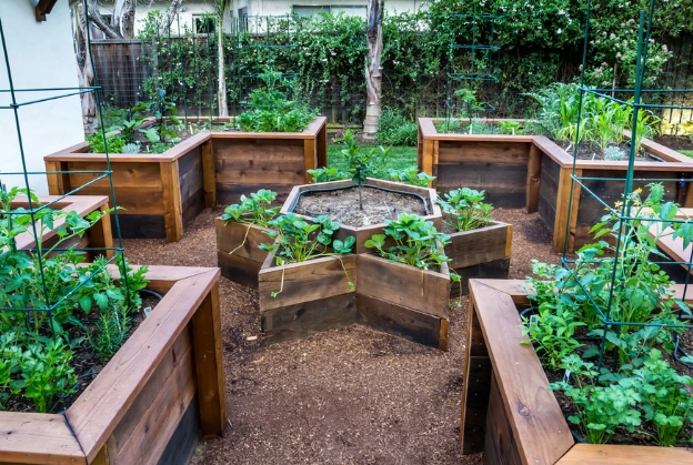 raised bed vegetable garden raised bed vegetable garden