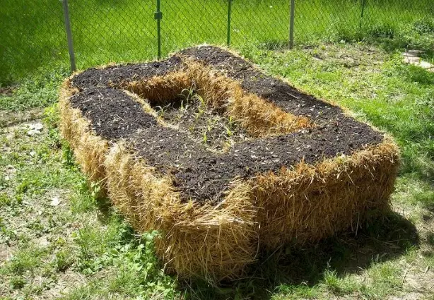 how to start a straw bale garden