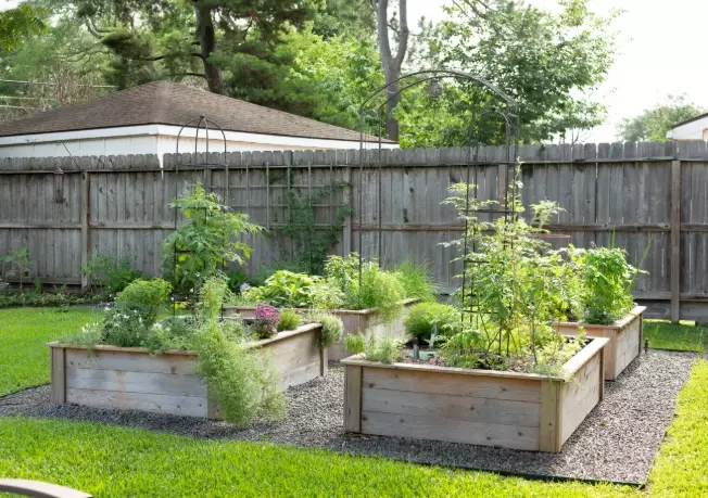raised bed gardening for beginners