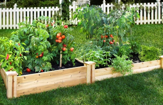 raised bed gardening tips raised bed gardening tips