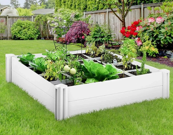 best vegetables for raised beds