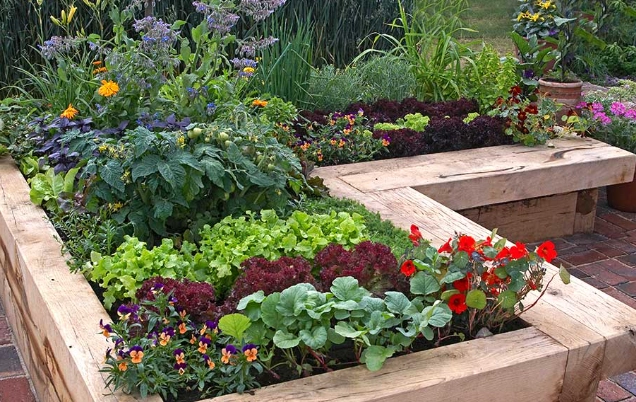 raised bed gardening for beginners