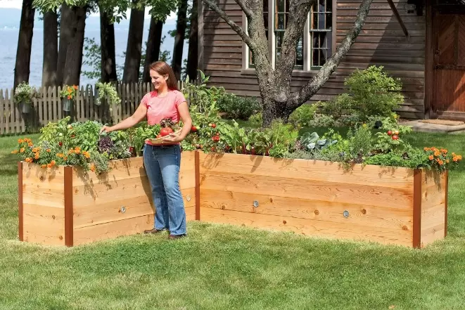 how to build raised garden beds