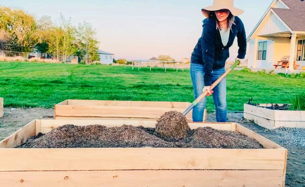 raised bed soil mix