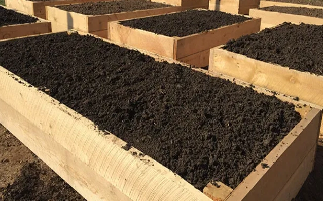 raised bed soil mix