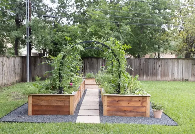 vegetable garden bed layout vegetable garden bed layout