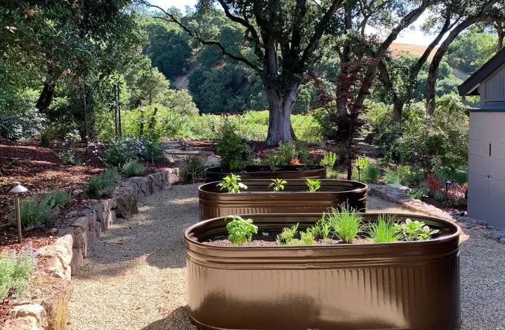 vegetable bed garden ideas vegetable bed garden ideas