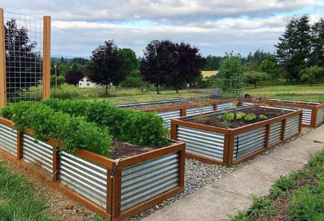 raised bed layout ideas raised bed layout ideas