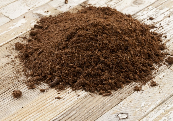 peat moss pellets
