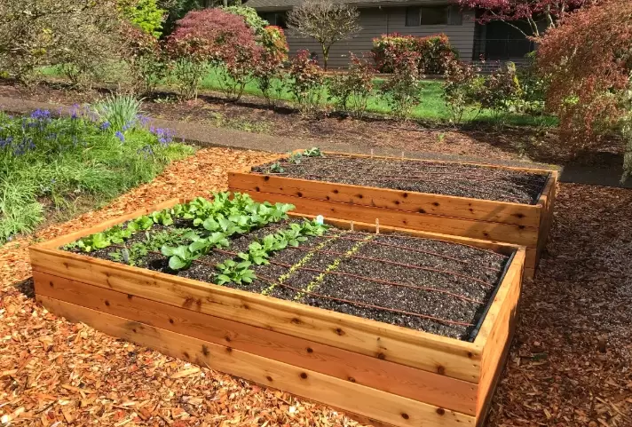 vegetable bed garden ideas vegetable bed garden ideas