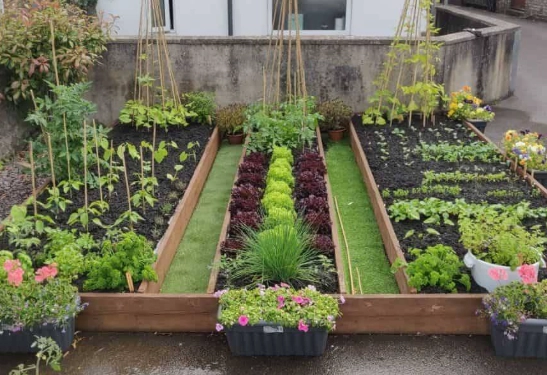 vegetable garden bed layout vegetable garden bed layout