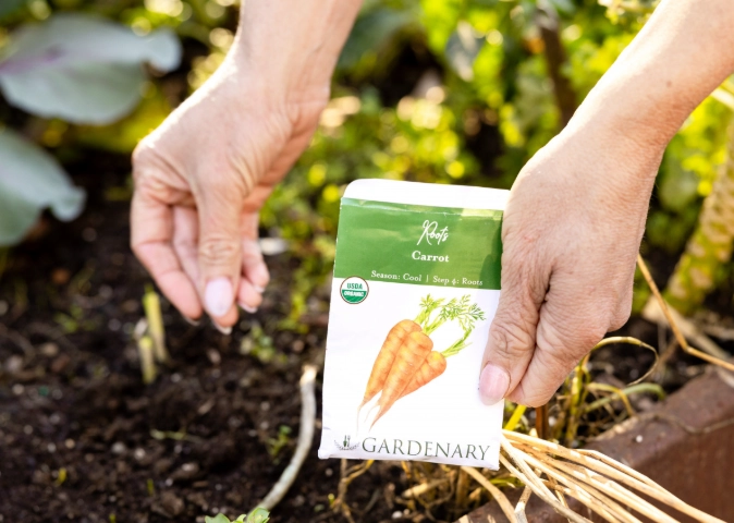 when to plant carrots when to plant carrots