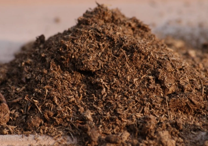 how to start seeds in peat moss