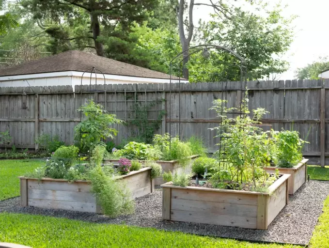 raised bed layout ideas raised bed layout ideas