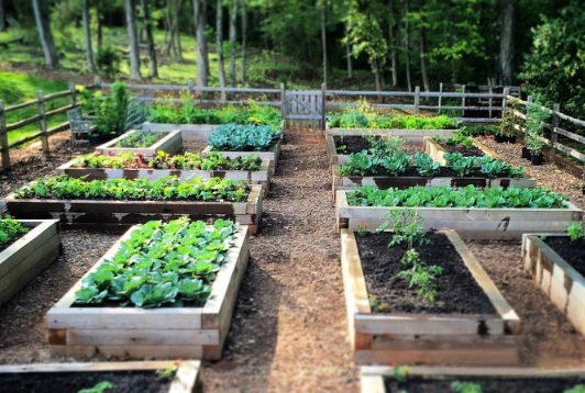 raised bed layout ideas raised bed layout ideas