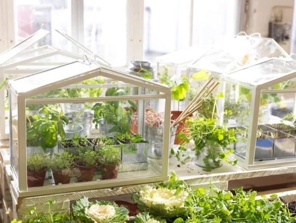 indoor greenhouse kits