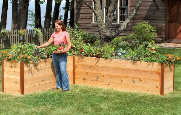 raised bed soil mix raised bed soil mix