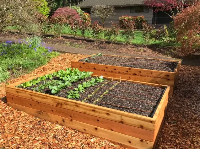 raised garden bed raised garden bed