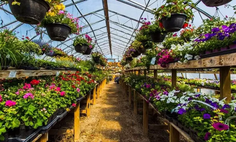 how to build indoor greenhouse