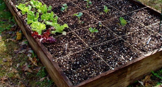 best soil for raised beds
