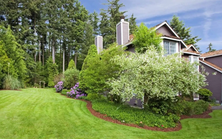 how to get a green lawn