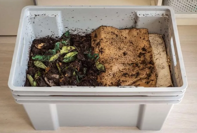 indoor worm composting