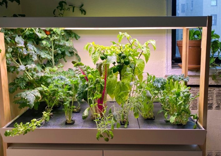 how to build indoor greenhouse