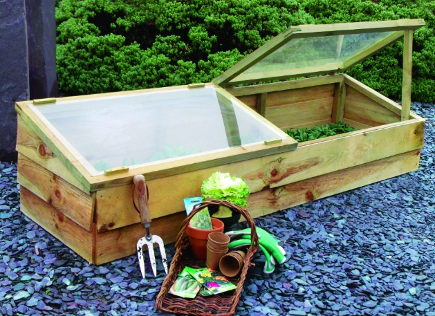 plants for cold frames