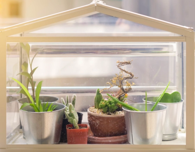 indoor greenhouse kits